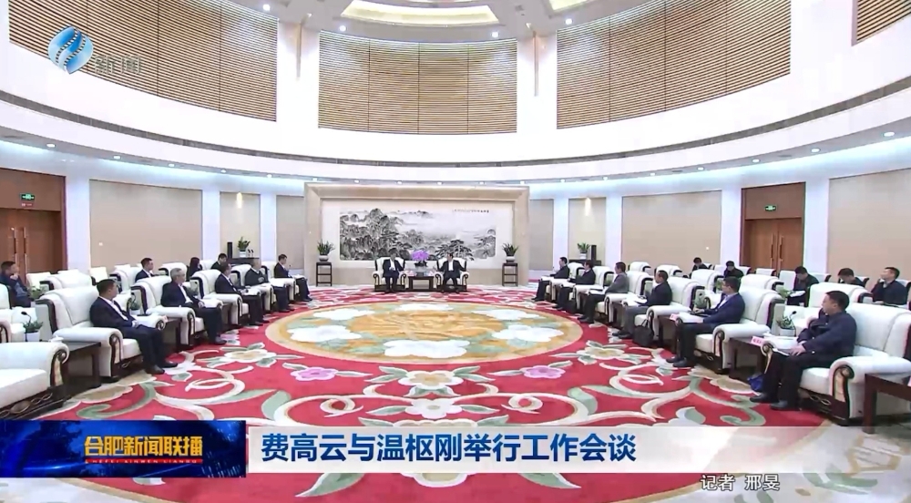 温枢刚与合肥市委书记费高云会谈-1