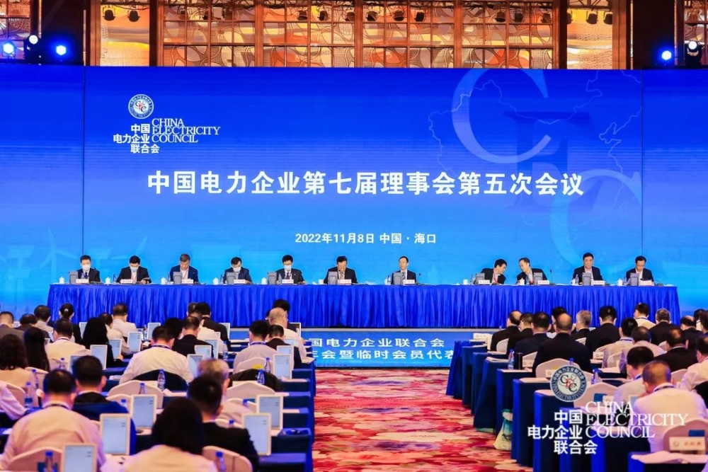 中电联召开临时会员代表大会、第七届理事会第五次会议-2