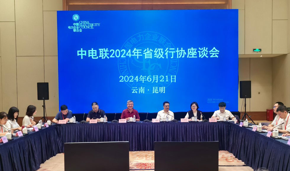 中电联召开2024年省级电力行协座谈会-1