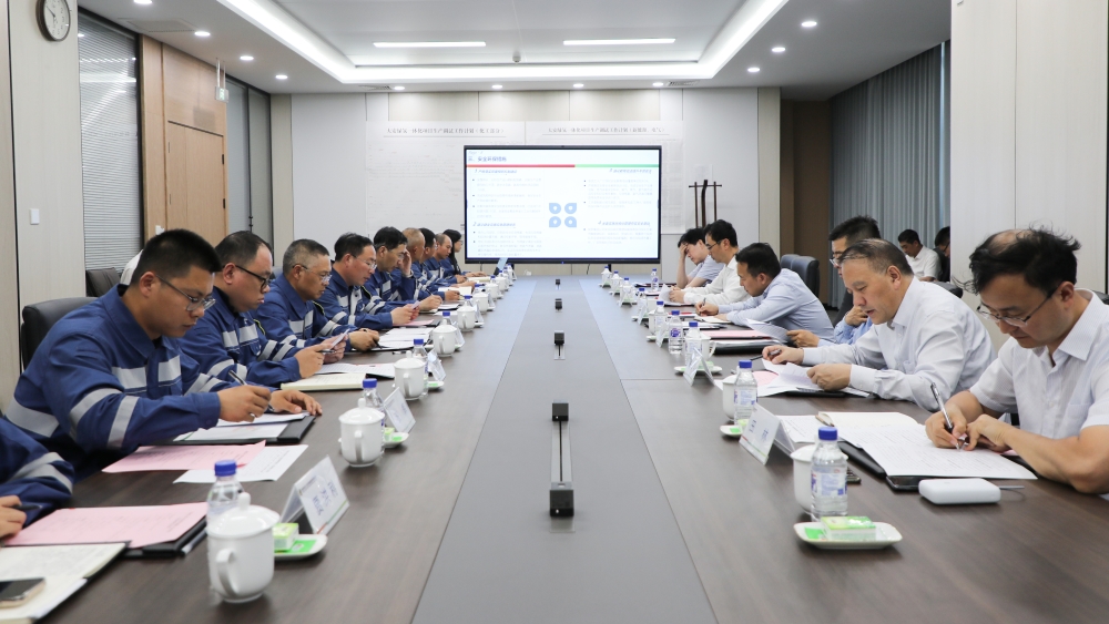 吉林大安风光制绿氢合成氨一体化示范项目投产-2