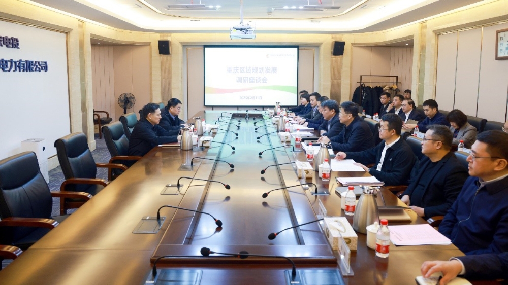 陈海斌到驻渝企业调研-1