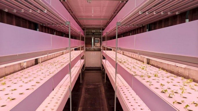 央视网：茫茫戈壁滩化身风光“能源海” 国家电投在新疆的绿色实践-9