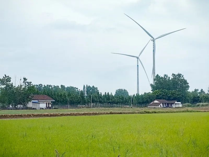 人民网：五凌电力常德鼎城风电项目实现全容量并网发电-2
