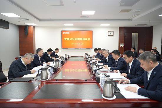 温枢刚到安徽分公司调研-1