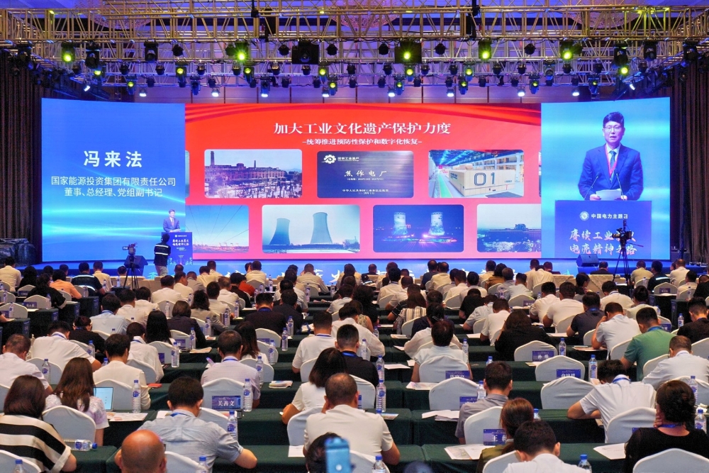 冯来法出席2025年“中国电力主题日”活动并作主旨演讲-1