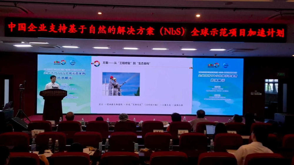 融绿于建,风动世界-3