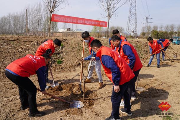 山东公司义务植树播绿守护绿水青山-2