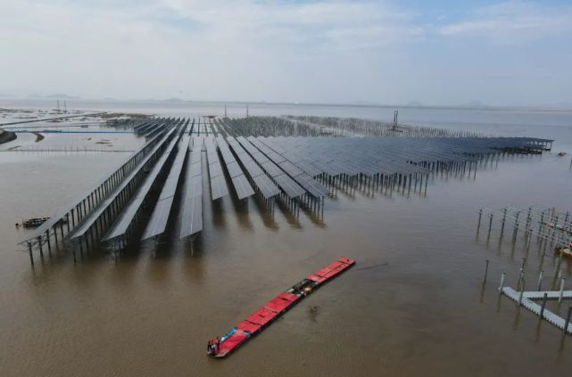 我国在建最大的海岸滩涂光伏项目-1