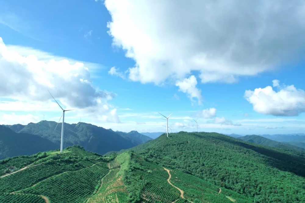 国华投资三项案例入选第十一届绿色发展论坛-1