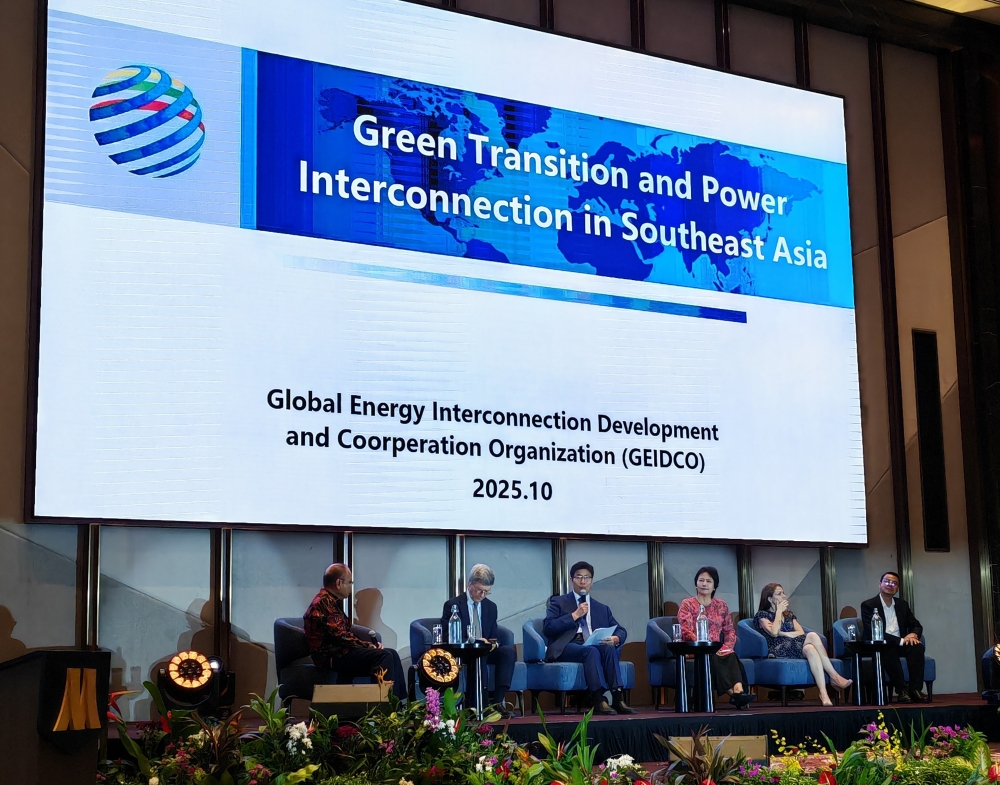 周原冰副秘书长出席2025东盟能源未来高级别研讨会-1