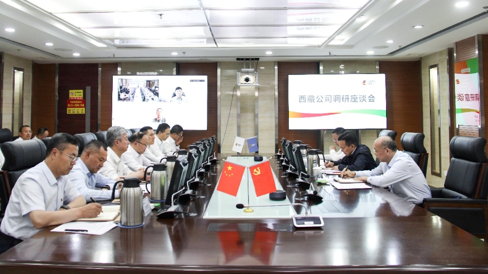 刘明胜到西藏公司调研-1