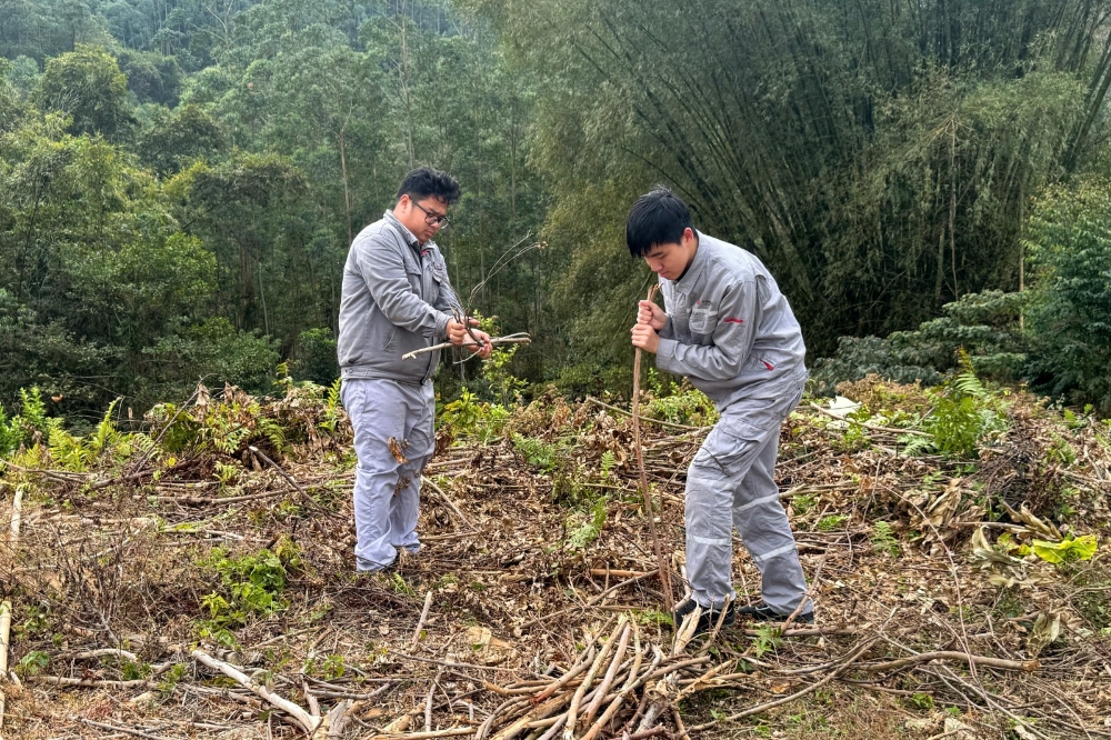 春日甘霖暖人心-3