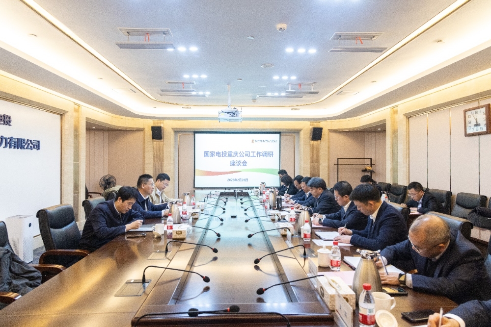 徐树彪到重庆公司调研-1