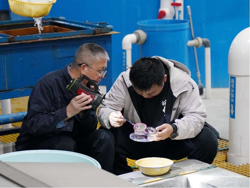 首批子三代中华鲟在三峡集团诞生-5