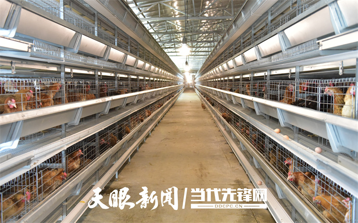 贵州日报：贵州金元纳雍电厂以央企担当在乡村振兴中书写帮扶答卷-1