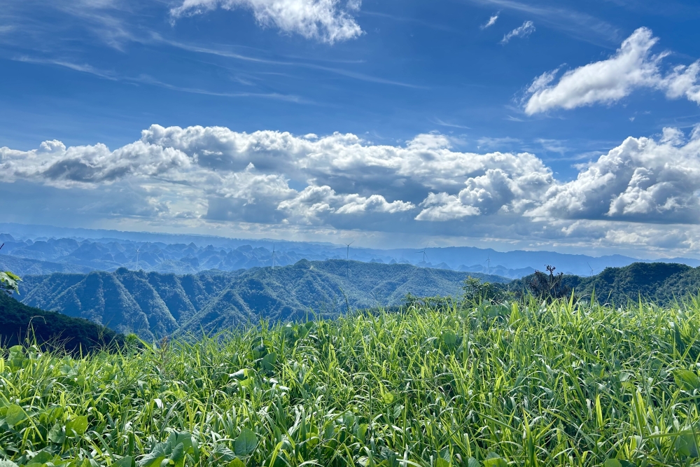 融绿于建,风动世界-4