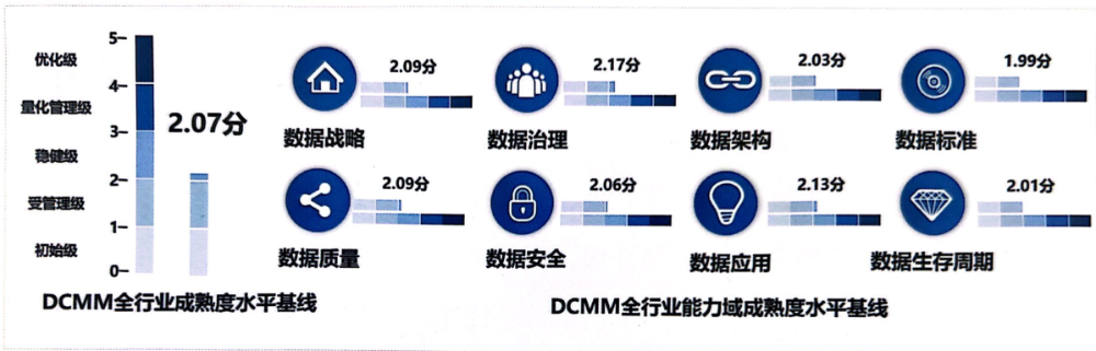 电力行业DCMM数据管理能力成熟度评估简况-1