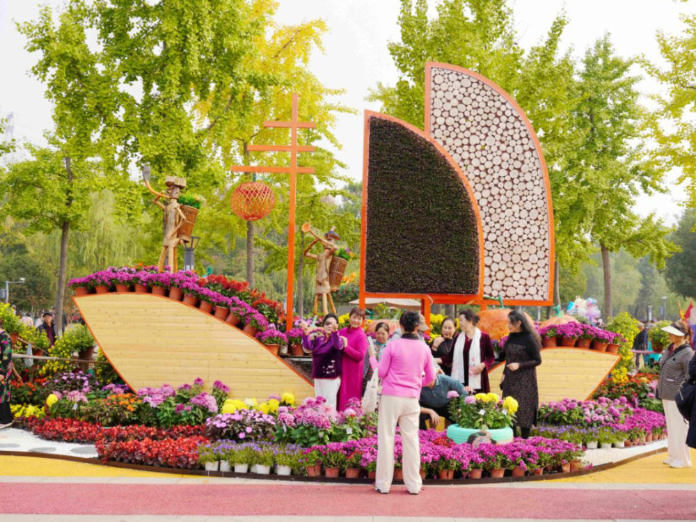 猇亭焕新记:从“化工味”到“菊花香”-2