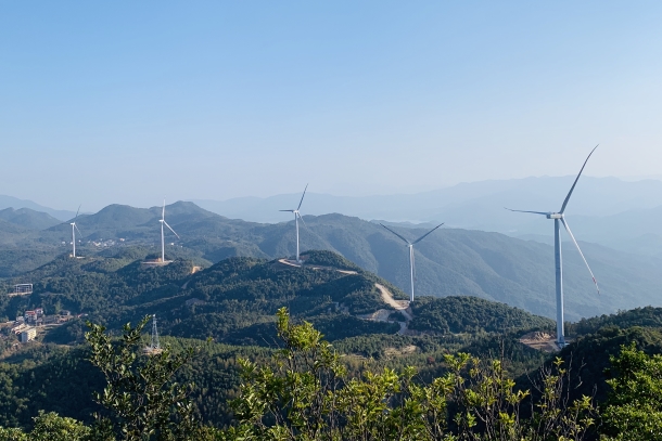 福建公司落实“一省区一营销”参与现货交易-1