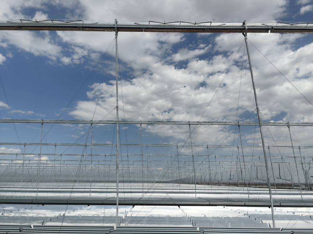 戈壁之上,哈密荒漠变“绿”洲-3