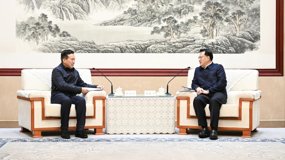 国家电投集团拜会重庆市-1