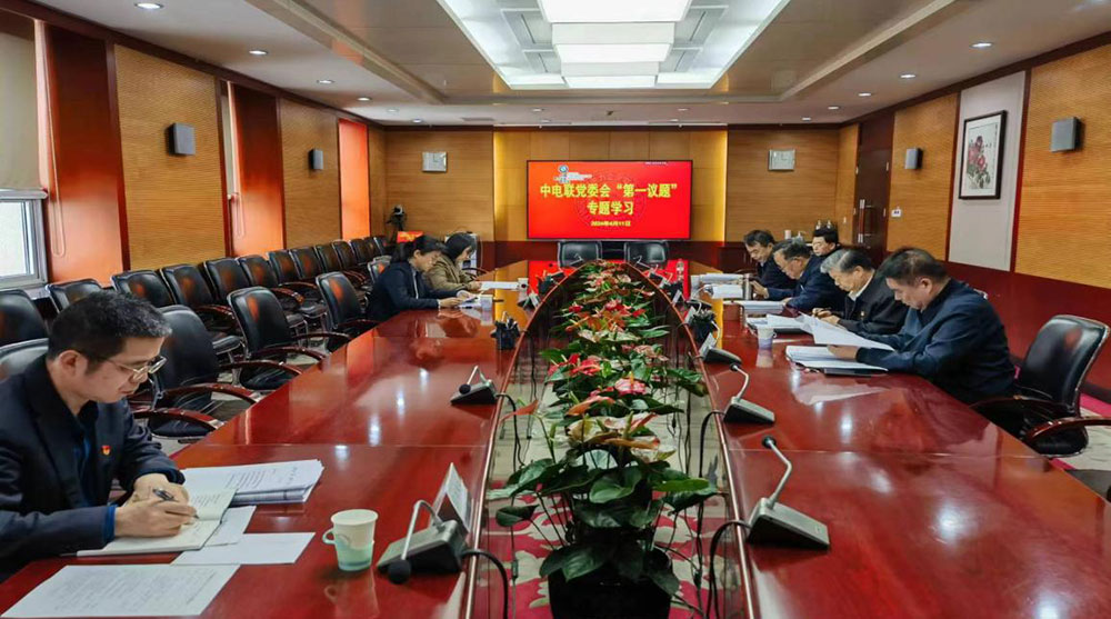 中电联党委召开“第一议题”学习会   学习贯彻习近平总书记近期重要讲话精神-1