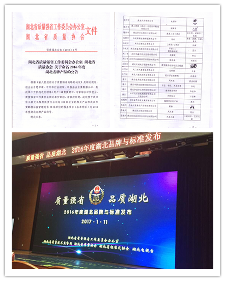 TR series of our company once again won the honorable title of "Hubei famous brand"-1