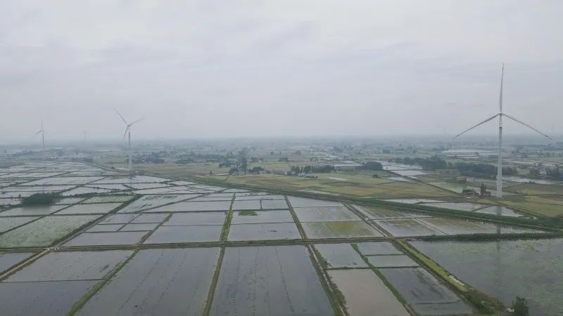 人民网：五凌电力常德鼎城风电项目实现全容量并网发电-4