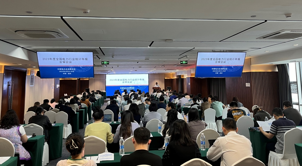 2023年度全国电力行业统计年报会审会议在武汉召开-1