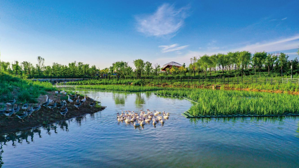 国家能源集团五项可持续发展案例闪耀COP30彰显中国方案全球价值-2