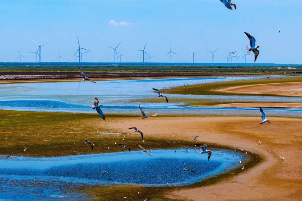 国华投资三项案例入选第十一届绿色发展论坛-2