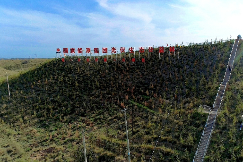 生态公益林挂果啦！-2