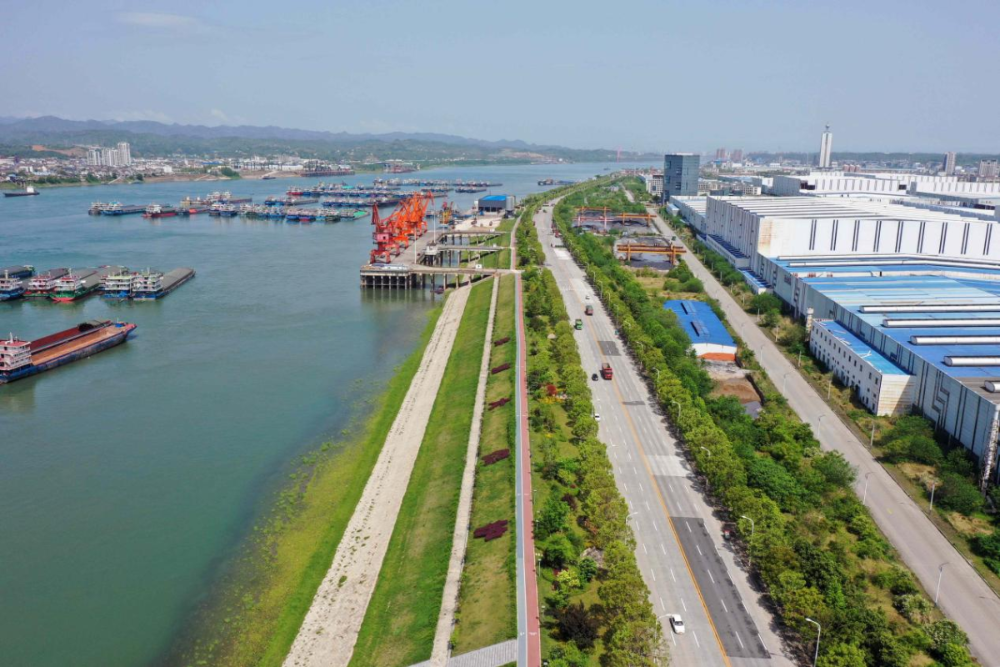 猇亭焕新记:从“化工味”到“菊花香”-3