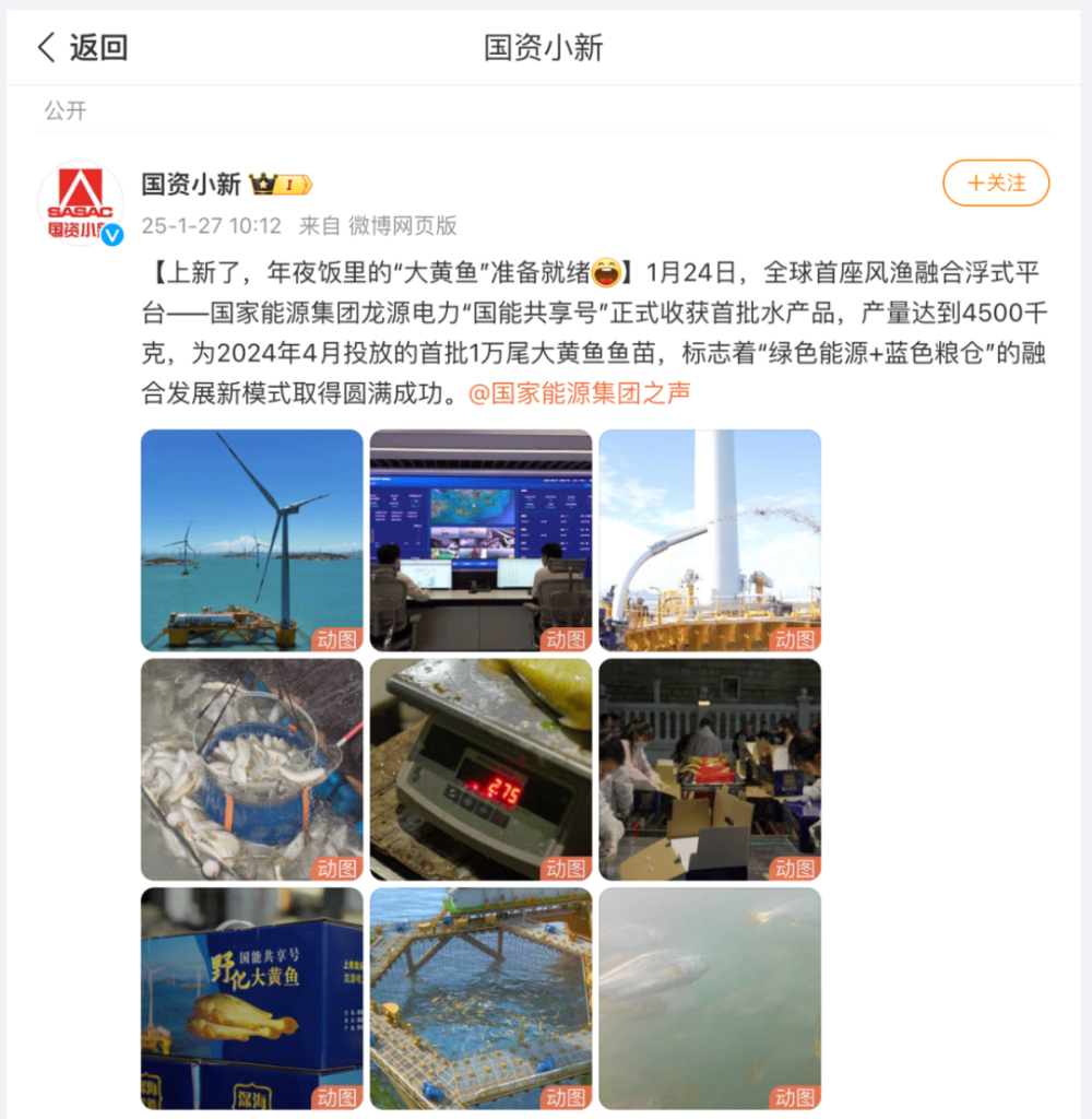 大地上的新春故事-28
