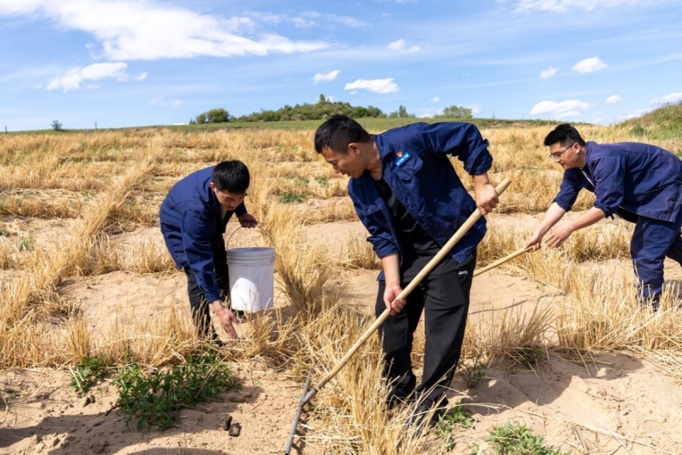 创新生态治理 共护绿水青山——三峡集团“十四五”时期生态环境保护工作纪实-3