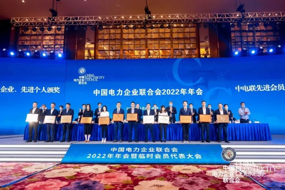 中电联表彰2021-2022年度先进会员企业、先进个人-2