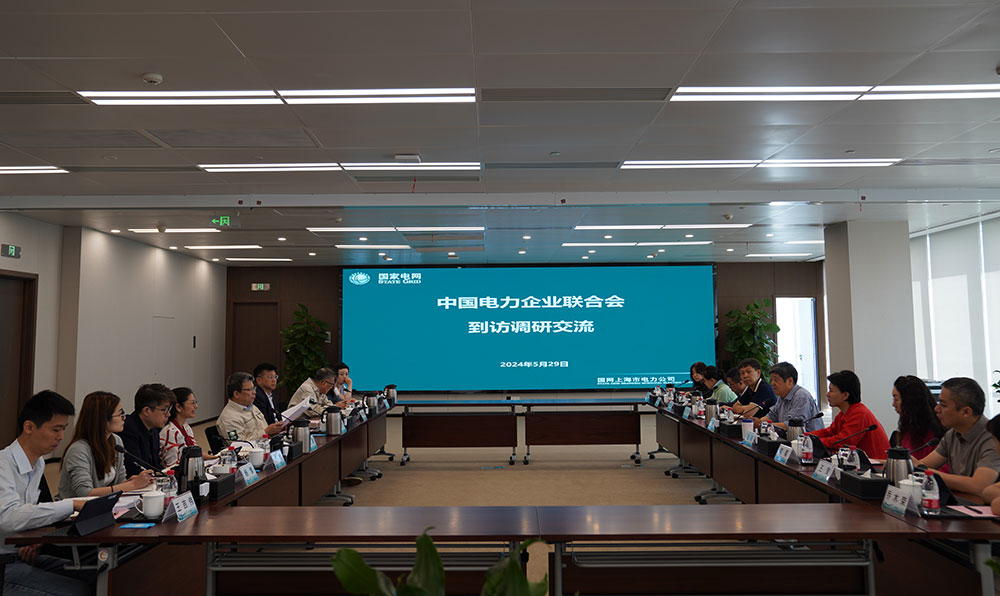 中电联赴上海开展企业经营风险防范调研-2