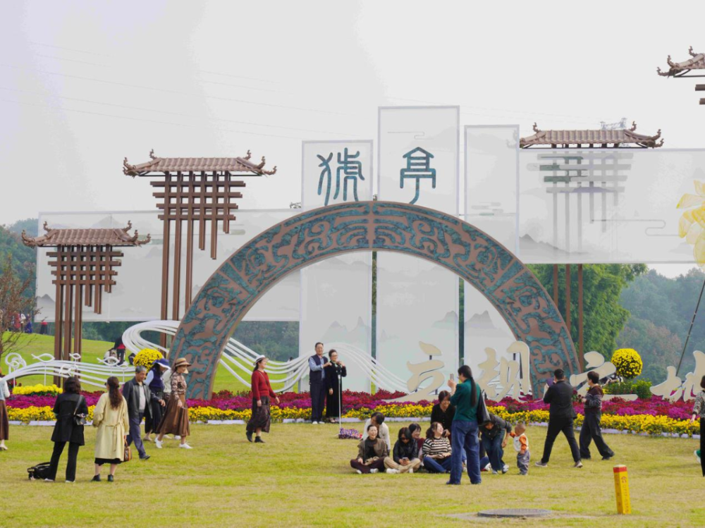 猇亭焕新记:从“化工味”到“菊花香”-1