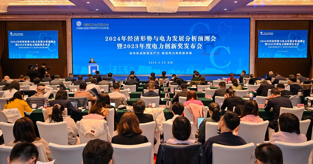 2024年经济形势与电力发展分析预测会在京成功举办-1